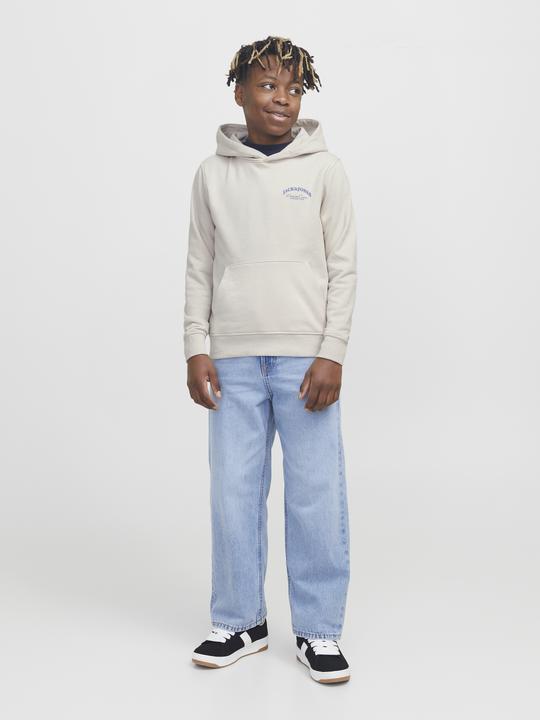 Image du produit Jack & Jones Jjebrandes Backp Relaxed Sweat H Sn Jnr (176)