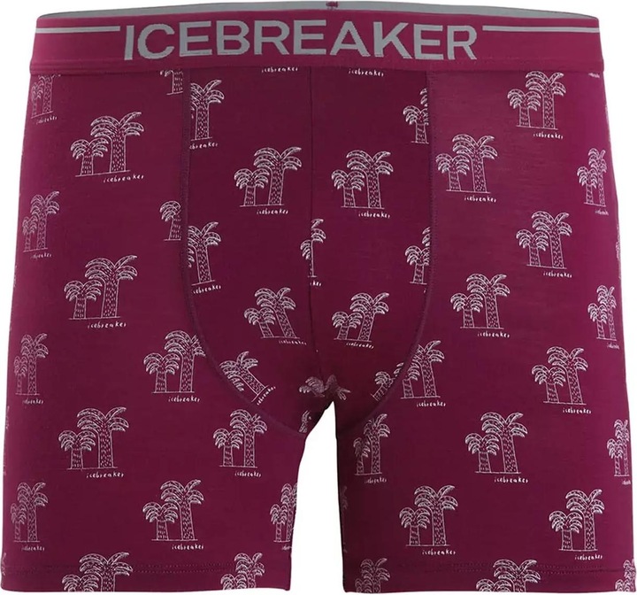 Produktbild Icebreaker Anatomica (L)