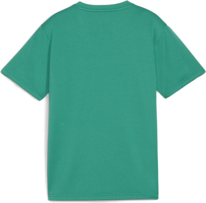 Actual product image Puma teamGOAL Jersey Jr (128)