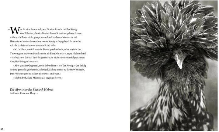 Produktbild Literarische Hühner (Deutsch, Beth Moon, 2018)