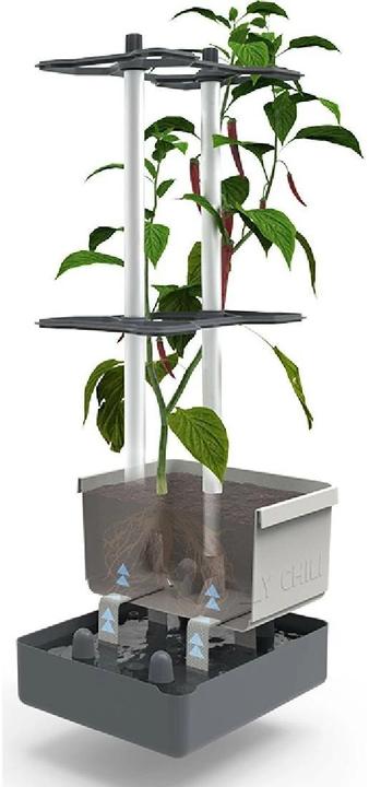 Produktbild Gusta Garden Charly Chili (35.35 cm)