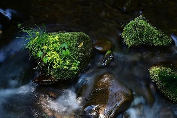 Actual product image Tamron AF 70-300mm F/4.5-6.3 Di III RXD Nikon Z (Nikon Z, full size)