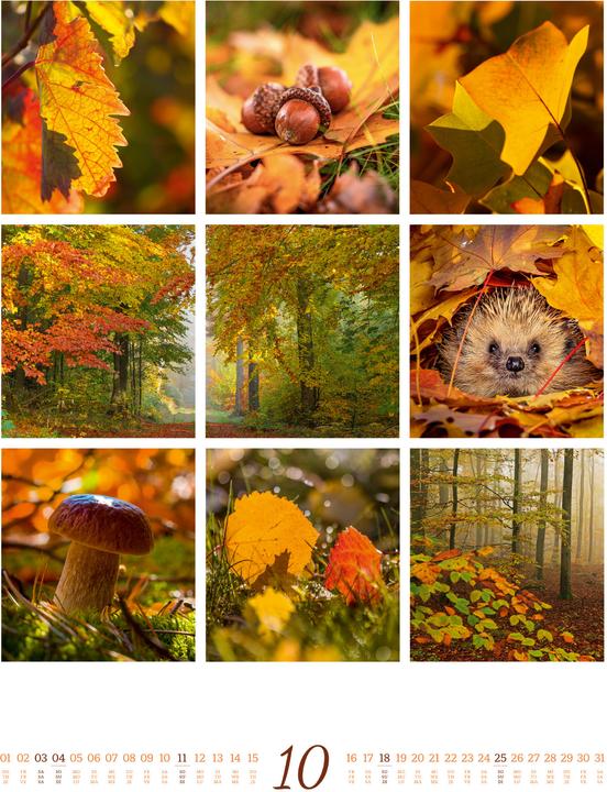 Image du produit Inspiration Natur Kalender 2026 (Couverture rigide, Anglais, Français, Allemand)