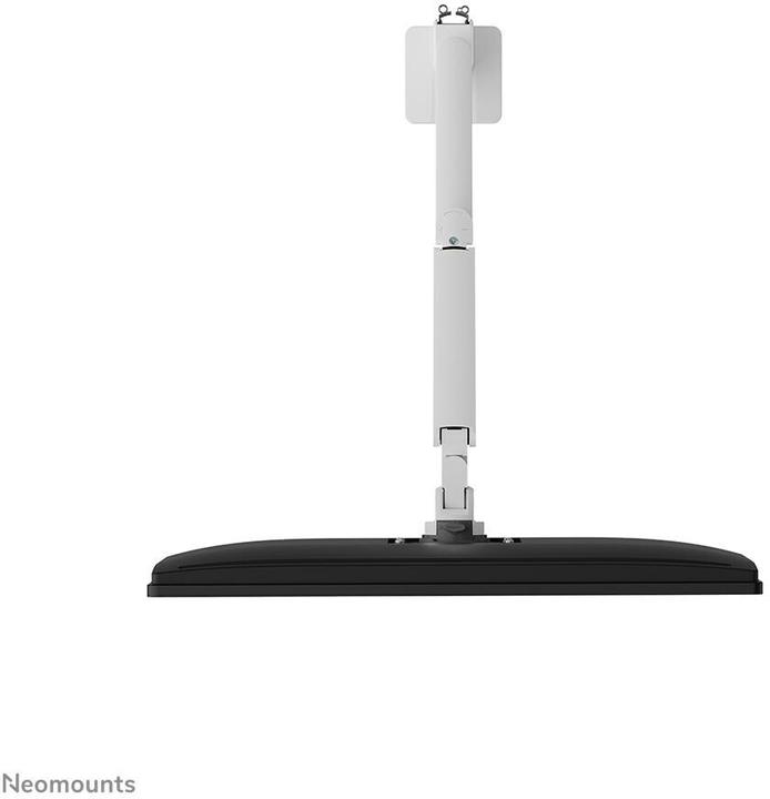 Actual product image Neomounts DS70-250WH1 (Table, 35", 9 kg)