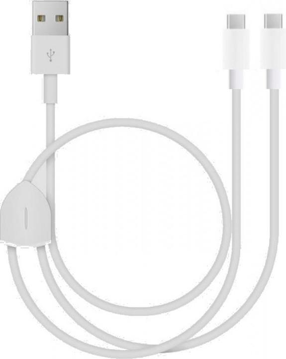 Immagine prodotto PowerGuard Ricarica doppia USB-C 2-in-1