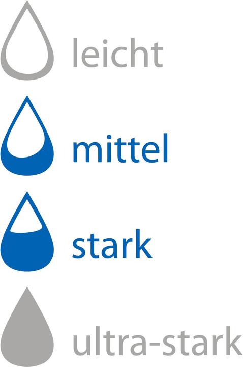 Produktbild Mediset Damen Hygiene-Slip (1 x, Normal)