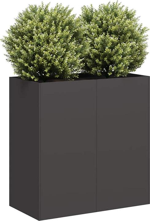 Produktbild vidaXL Pflanzkübel