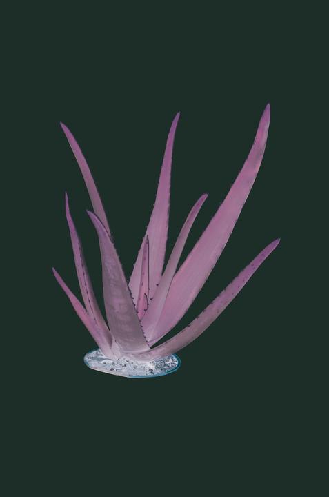 Immagine prodotto Glorex Sapone alla glicerina Eco (Sapone duro)