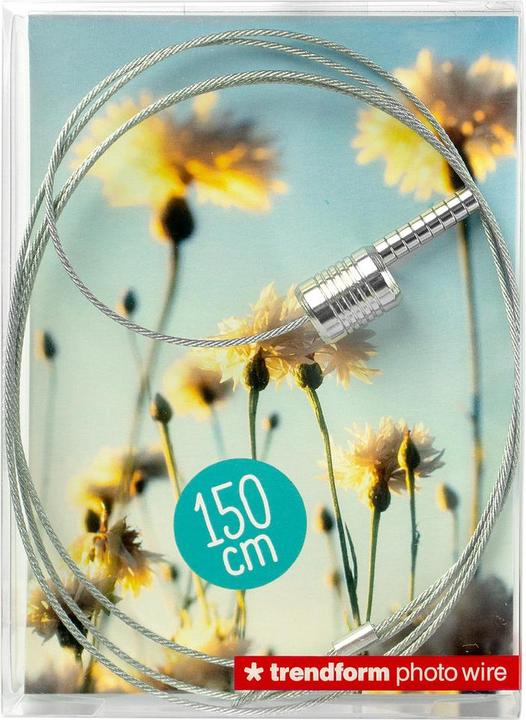 Image du produit Trendform Steely Dan