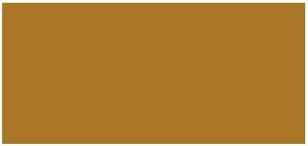 Actual product image Bobbi Brown Intensive Serum Foundation (Golden)