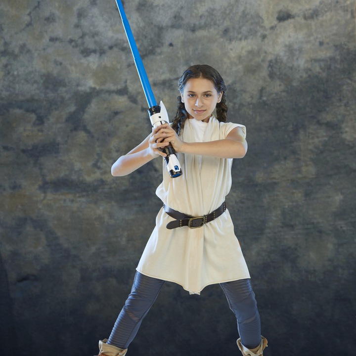 Actual product image Hasbro Star Wars LSF Sword Entry assorted