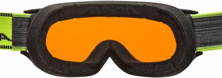 Image du produit ALPINA SPORTS Challenge 2.0 DH