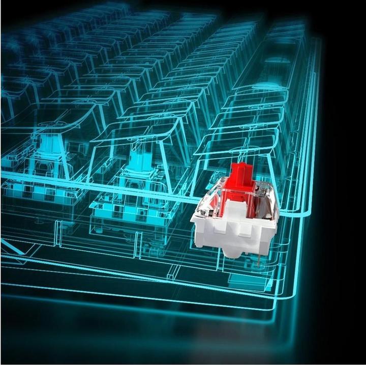 Actual product image Sharkoon Skiller SGK50 S4 (Germany, Cable)