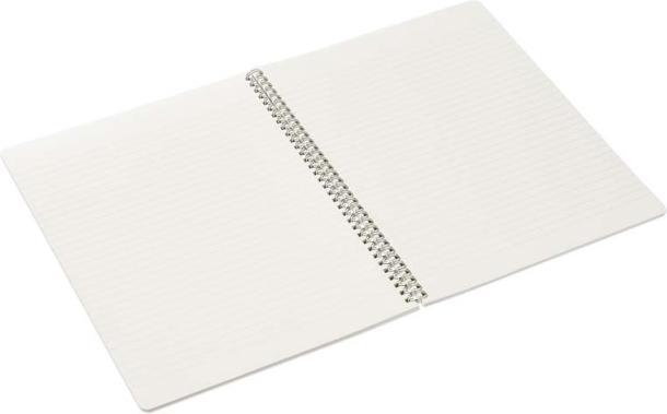 Actual product image Fabriano Notebook EcoQua spiral bound lined Nero (A5, Lined)