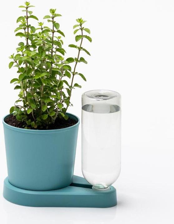 Produktbild Greevi Kräuterheld Türkis (10.50 x 14 cm)