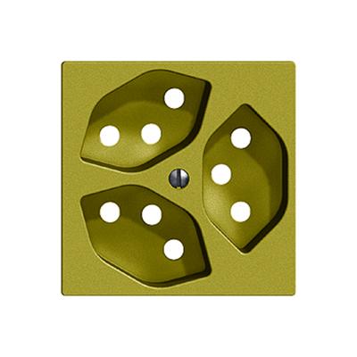 80 olive