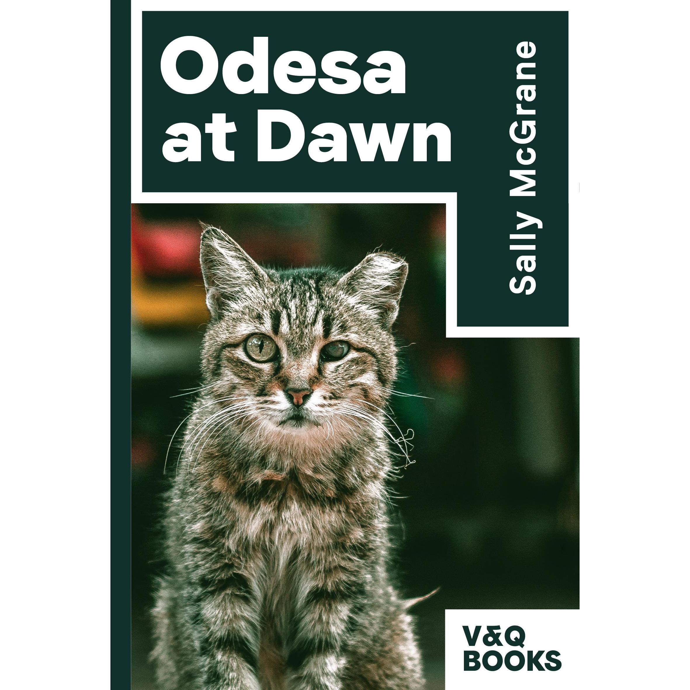 Thumbnail - Odesa at Dawn, Belletristik von Sally McGrane