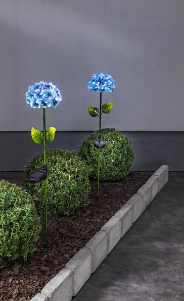 Image du produit Star Trading Décoration intérieure Windo