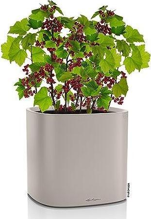 Produktbild Lechuza Pila (35 x 35 x 32.60 cm)