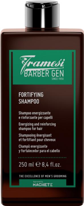 Actual product image Framesi BARBER GEN Fortifying Shampoo (Liquid shampoo, 250 ml)