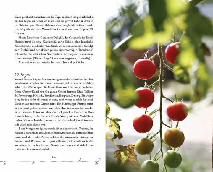 Produktbild Bin im Garten (Deutsch, Meike Winnemuth, 2019)