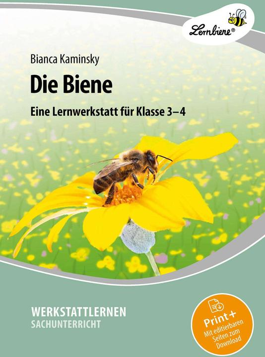 Produktbild Die Biene. Grundschule, Sachunterricht, Klasse 3-4 (Deutsch, Bianca Kaminsky, 2023)
