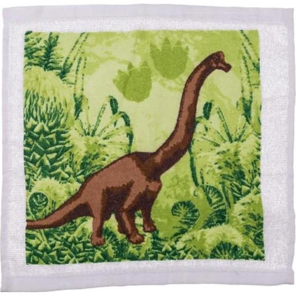 Thumbnail - Magni, Frotteewäsche, Magisches Handtuch, Baumwolle, Dinosaurier