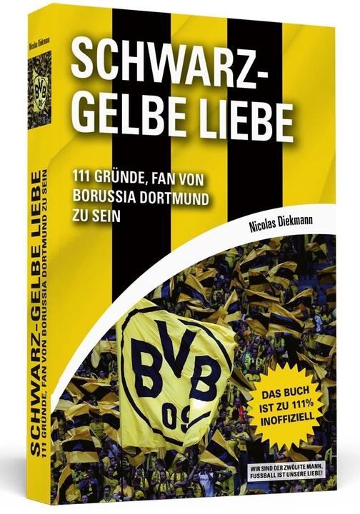 Produktbild Schwarz-Gelbe Liebe (Deutsch, Nicolas Diekmann, 2017)