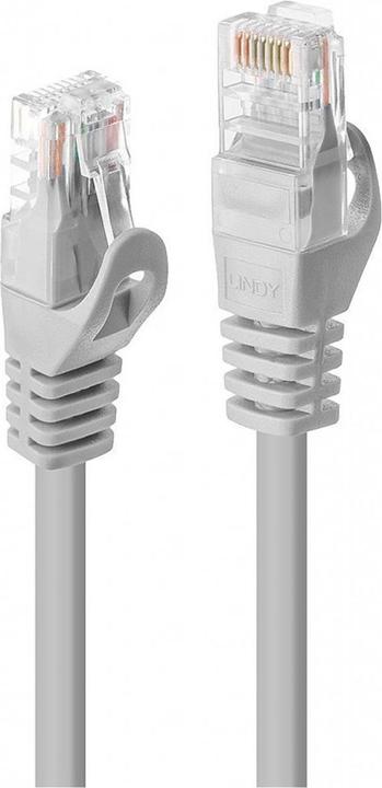 Image du produit Lindy Câble réseau (UTP, CAT5e, 1 m)