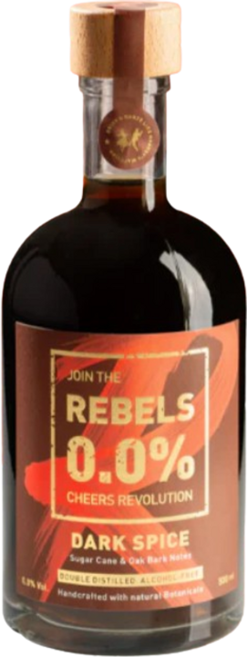 REBELS 0.0% Dark Spice - alkoholfrei (1 x 50 cl)