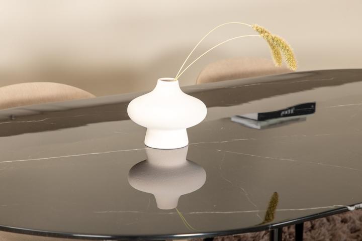 Actual product image Venture Home Pillan, Velvet (Glass)