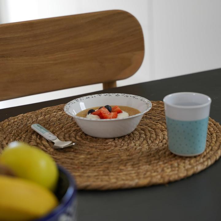 Immagine prodotto Thermobaby Seggiolino Youpla con vassoio verde celeste