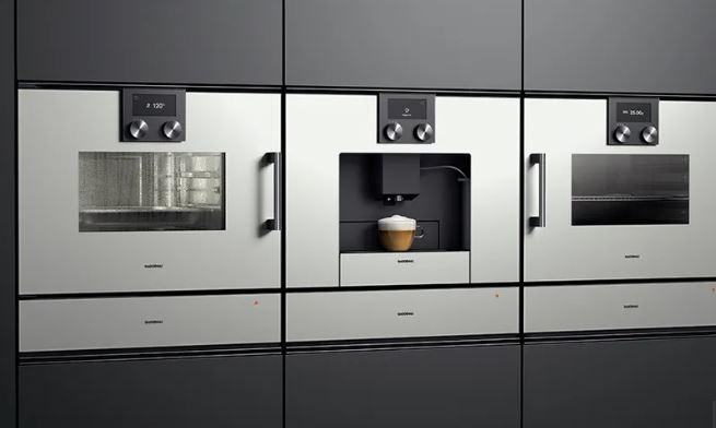 Actual product image Gaggenau Bmp 250 100