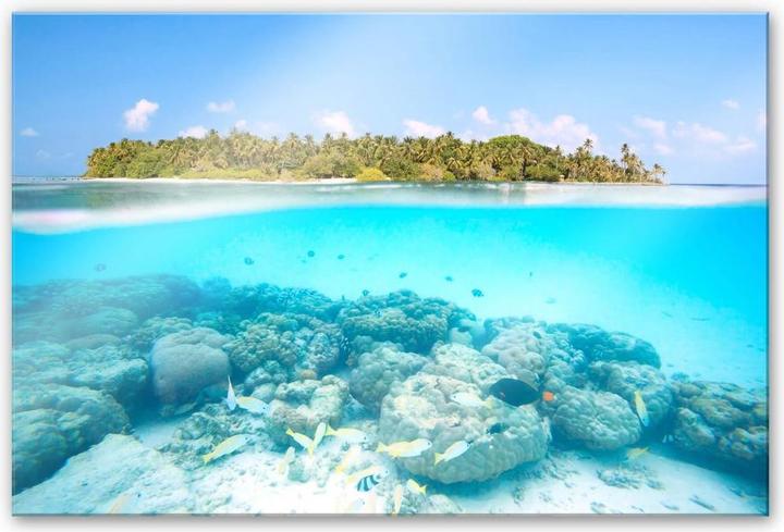 Immagine prodotto Trenddeko Mondo sottomarino delle Maldive (60 x 40 cm)