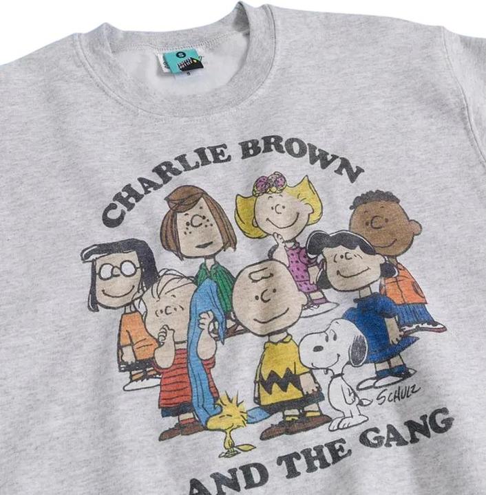 Produktbild Peanuts Charlie And The Gang Sweatshirt (M)