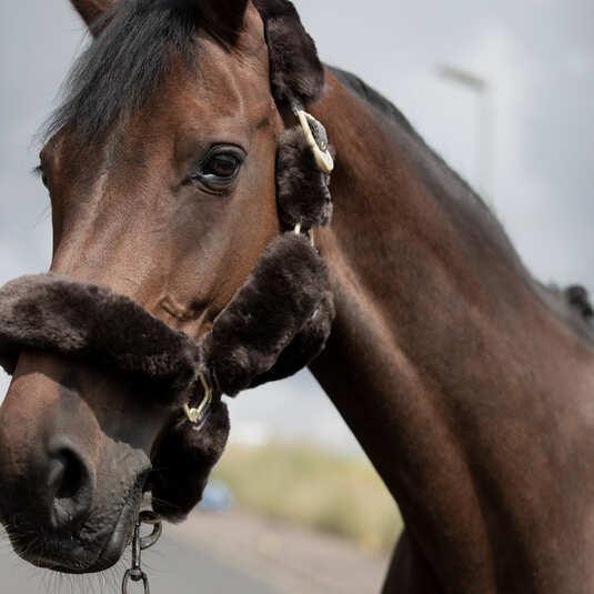 Produktbild B Vertigo Tremblant