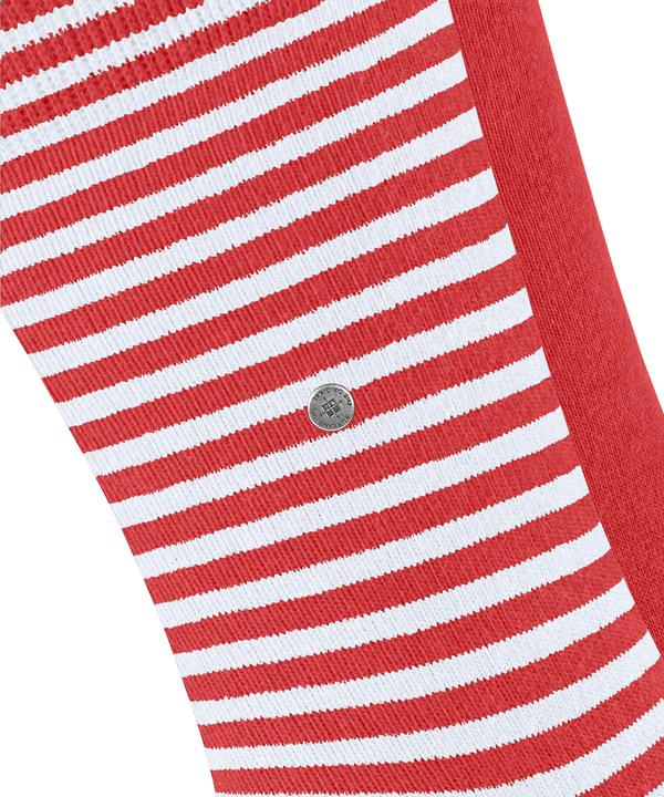 Produktbild Burlington Everyday Stripe (x2) (2er Pack, 40 - 46)