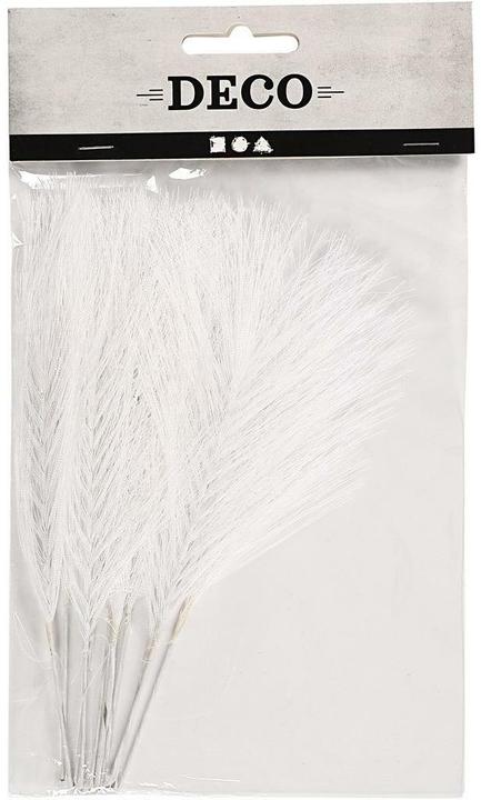 Image du produit Creativ Company Plumes blanches