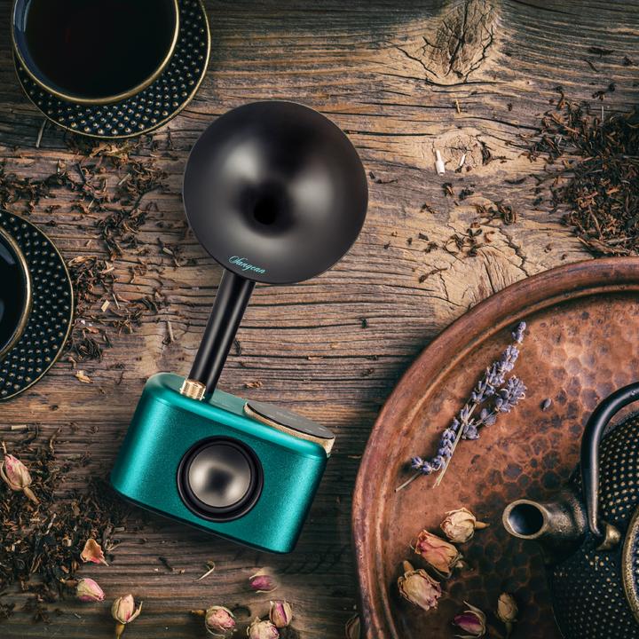 Actual product image Sangean CP 100D (DAB+, Bluetooth)