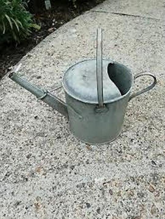 Produktbild Jensen Verzinkte Giesskanne (9 l)