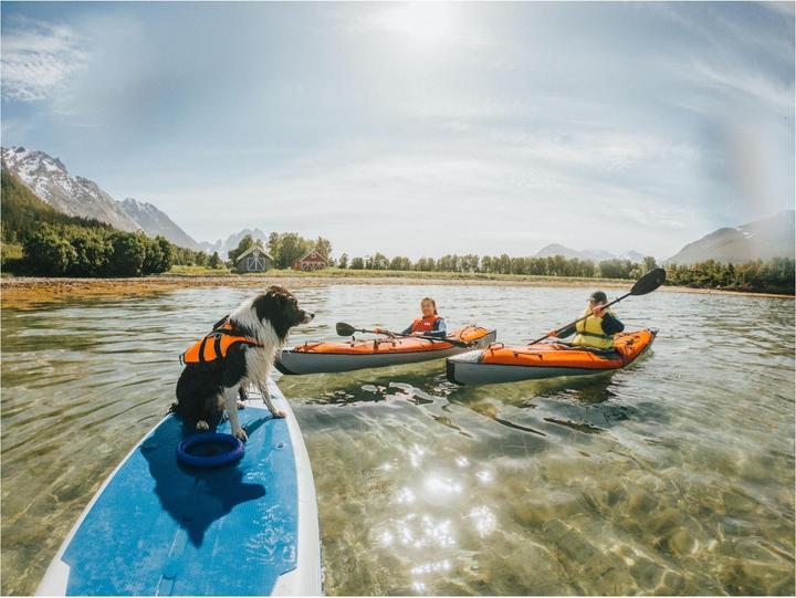 Immagine prodotto Non-Stop Dogwear Giubbotto di salvataggio Safe Gilet da nuoto M (4, Giubbotto di salvataggio per cani)