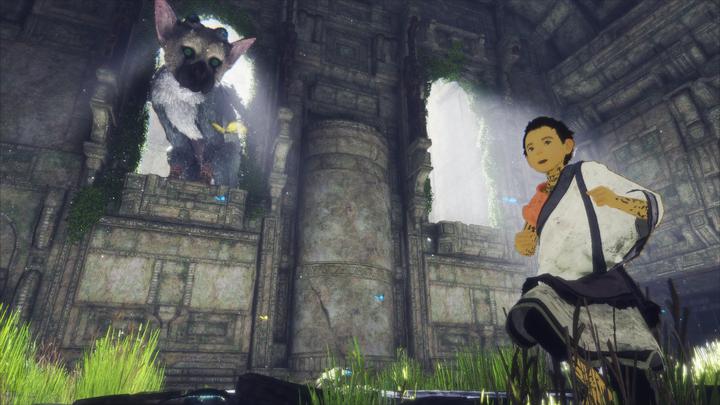 Image du produit Sony The Last Guardian (PS4, Multilingue)