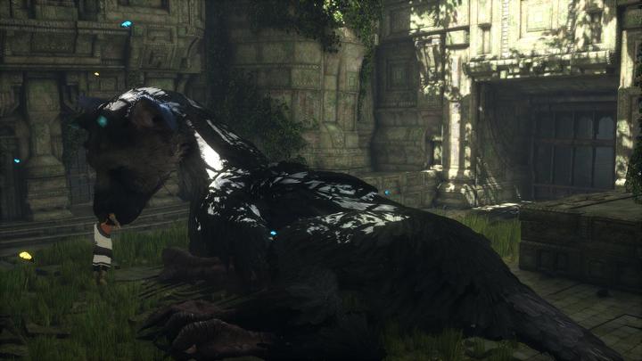 Image du produit Sony The Last Guardian (PS4, Multilingue)