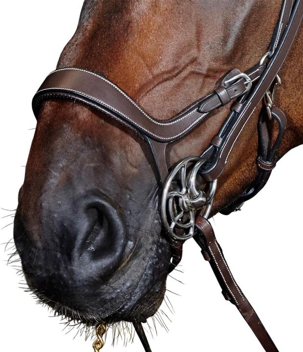 Image du produit - Bride avec rênes pour chevaux CHICAGO