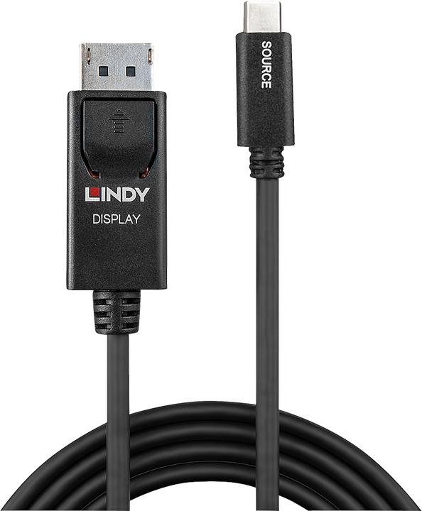 Actual product image Lindy USB Type C to DisplayPort (50 cm)