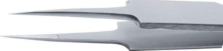 Actual product image Rubis Tweezers 5-AXAL