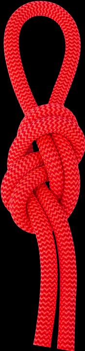 Immagine prodotto Salewa Rope (60 m)