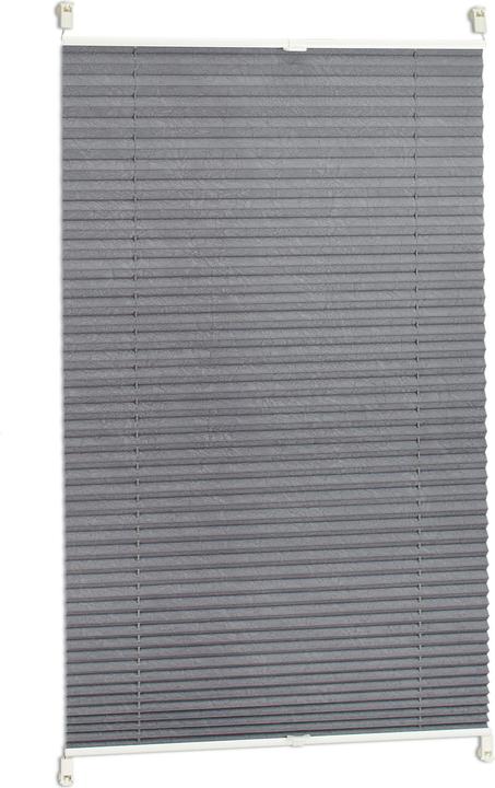 Image du produit Relaxdays Pleated Blinds Gris (100 x 2 x 130 cm)