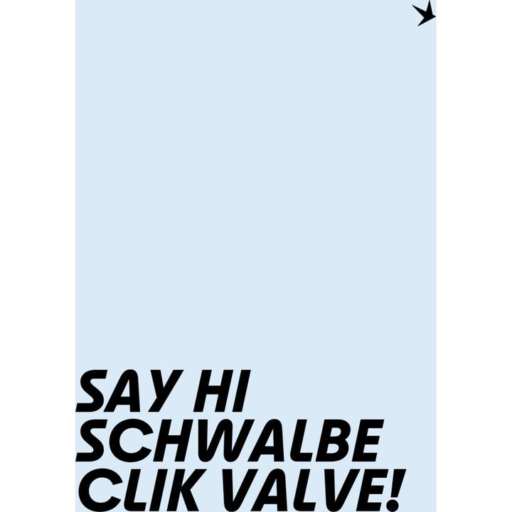 Actual product image Schwalbe Clik Valve (set of 2) 40mm