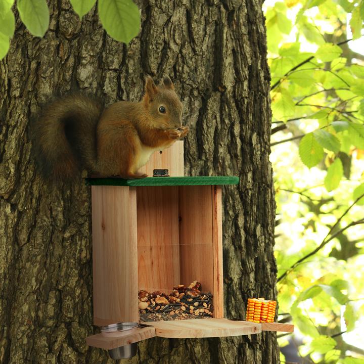 Produktbild Relaxdays Eichhörnchenfutterhaus